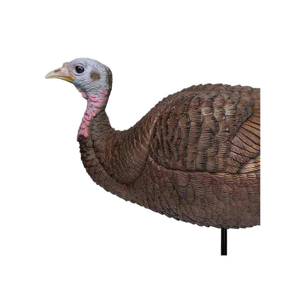 Primos Lil Gobstopper Hen Turkey Decoy - Image 2