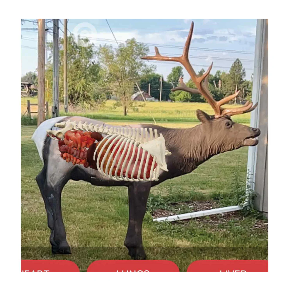 Delta McKenzie Elk Pro X-Ray Series 3D Target - Image 4